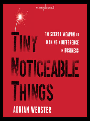 cover image of Tiny Noticeable Things